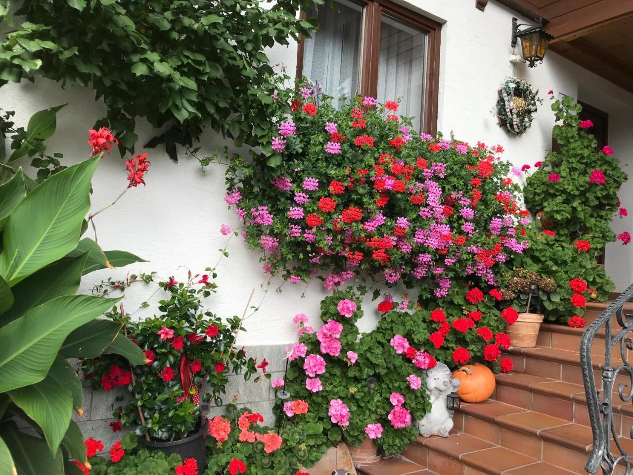 Haus Katharina Hotel Wagrain Exterior foto